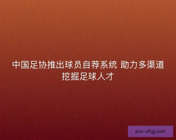 中国足协推出球员自荐系统 助力多渠道挖掘足球人才